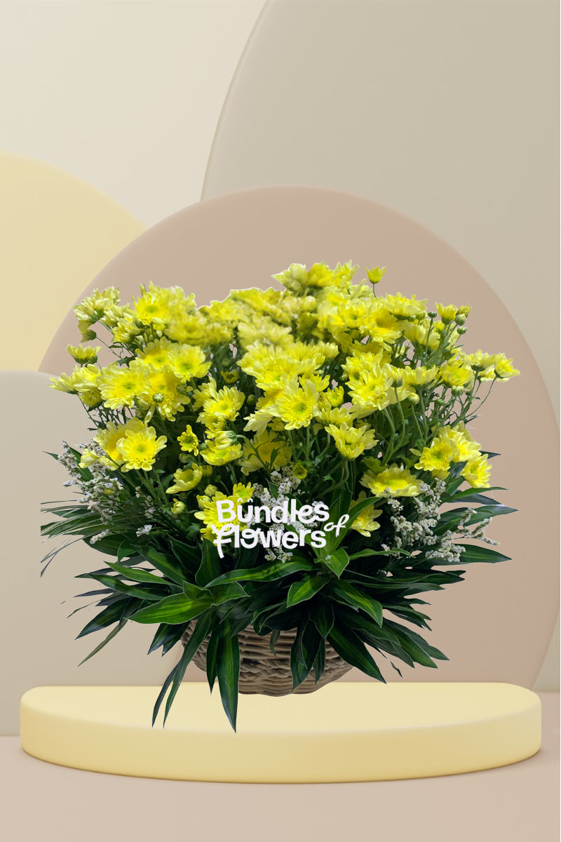 Yellow Mums Basket