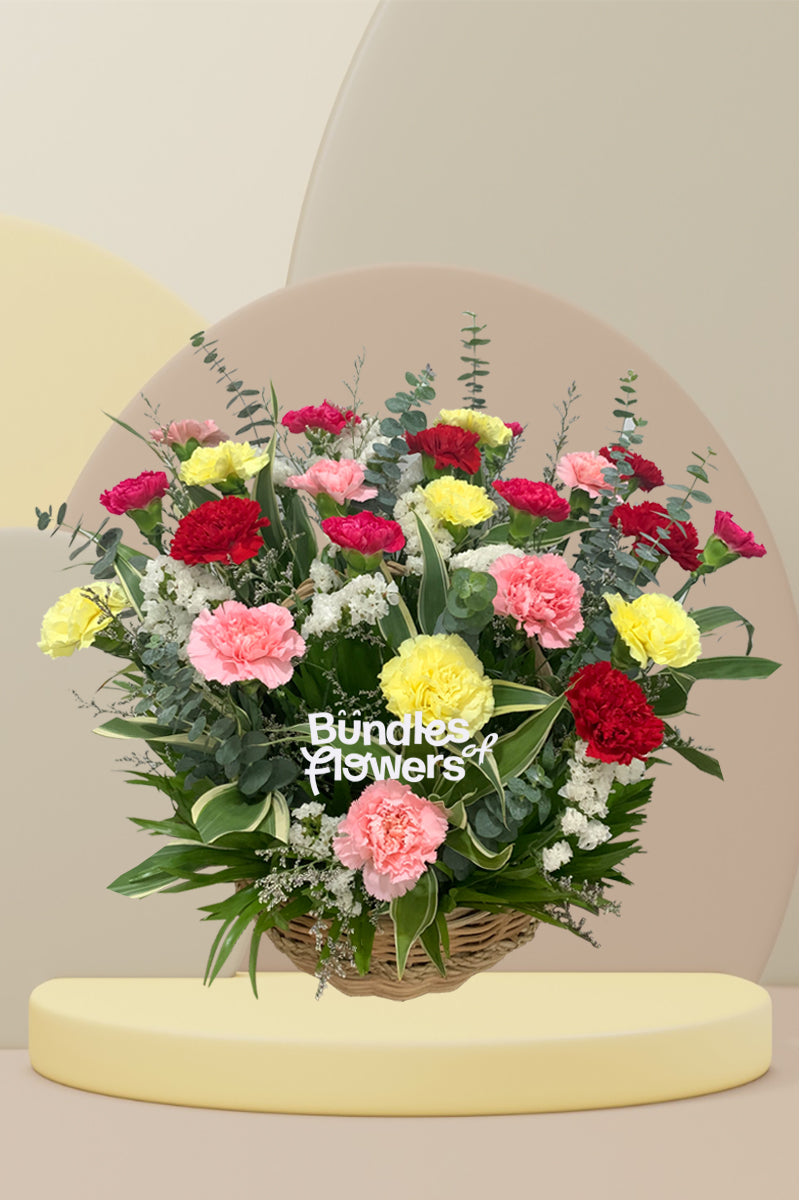 Mixed Carnations Basket