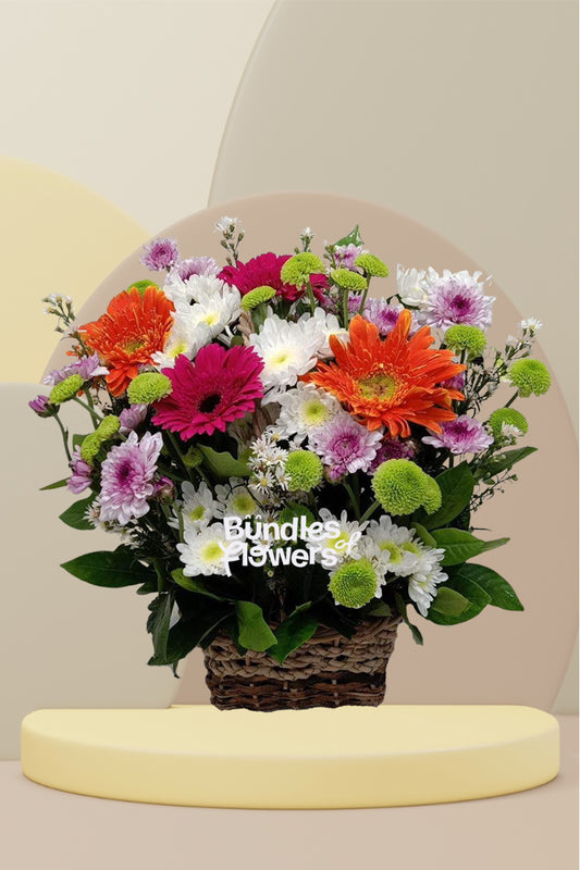 Mums and Gerberas