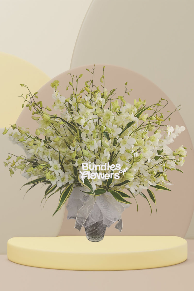 Orchids in Vase