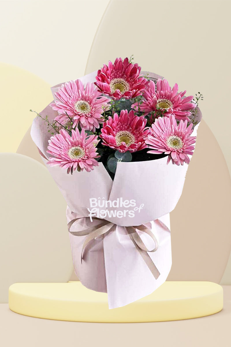 Pink Gerberas