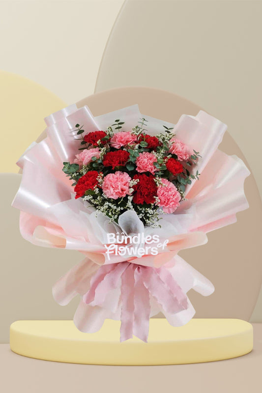 Red and Pink Carnations