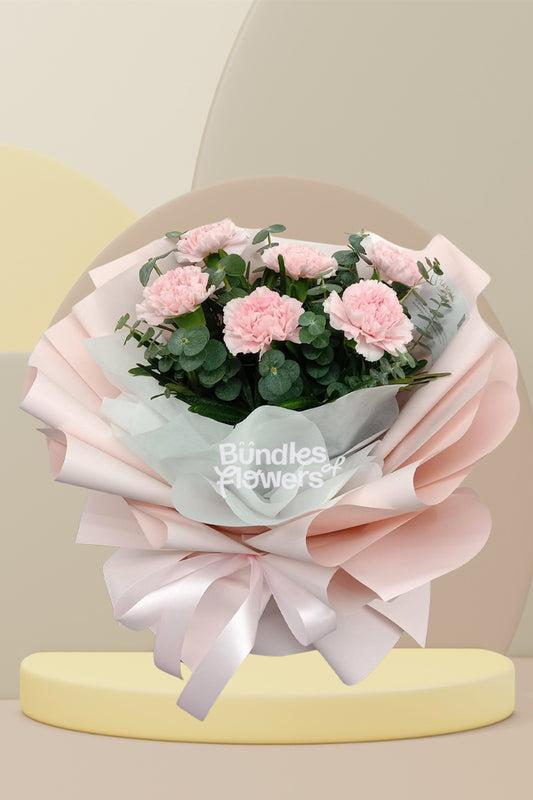 Sweet Pink Carnations